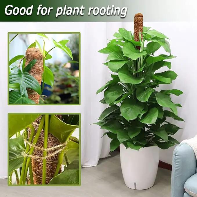60 Inch Moss Pole for Plants Monstera, Tall Bendable Moss Poles for Climbing Plants Indoor, Large Handmade Plant Pole Sticks, Coco Coir Plant Support Stakes for Potted Plants, Pothos by GreenHaven Gardens