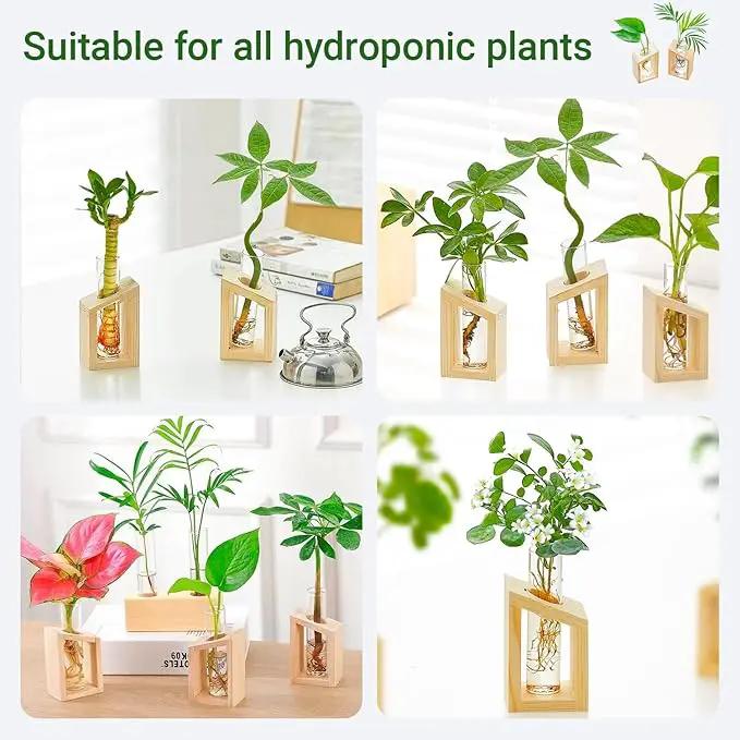 Ivolador Plant Propagation Station, Plant Propagation Tubes,Gifts for Plant Lovers,Plants Cutting Holder Office Desk Garden Décor Gifts for Mom Women Hydroponic Vase Gift Box by GreenHaven Gardens