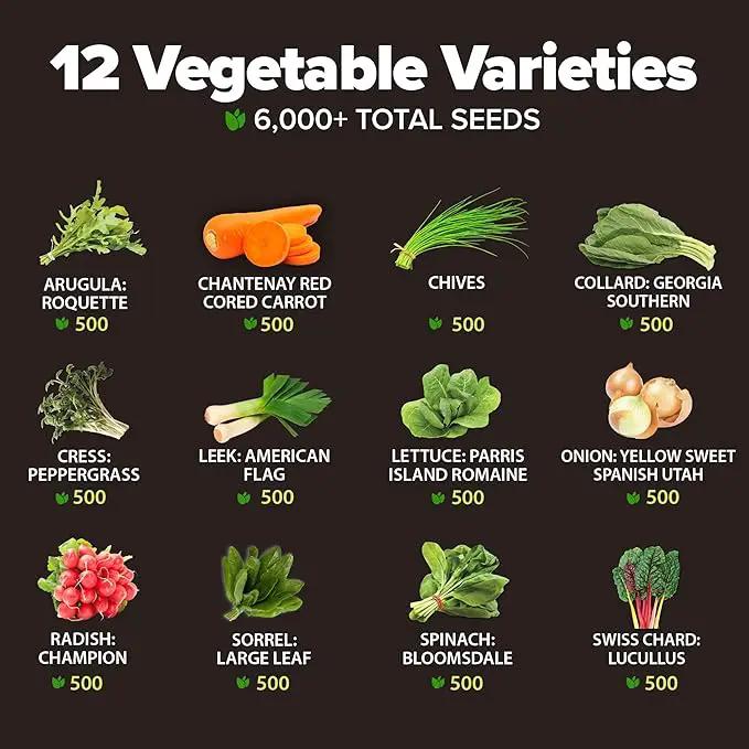 HOME GROWN 6000 Vegetable Seeds for Planting: 12 Spring Varieties of Garden Vegetables in Seed Packets, Garden Seeds for Garden Plants or Hydroponic Seeds - Heirloom Seeds - Non GMO by GreenHaven Gardens