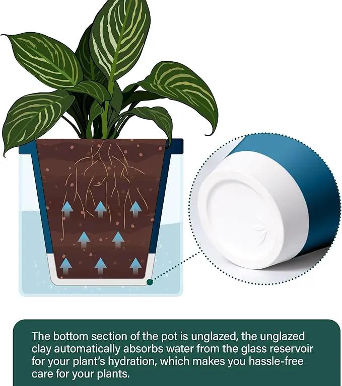 D'vine Dev 10 Inch Design Self Watering Planter for Indoor Plants, Blue Terracotta Pot with Cylinder Glass Cup, 37-X-D-4 by GreenHaven Gardens