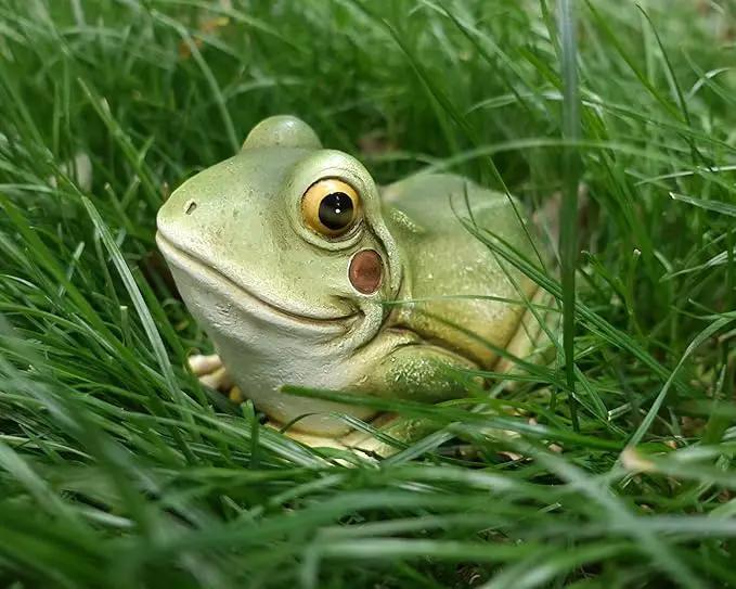 Hide a Key Frog Hand Painted Polyresin Outdoor Statue and Key Holder,Look and Feels Like a Real Frog for Yard,Garden,Patio by GreenHaven Gardens