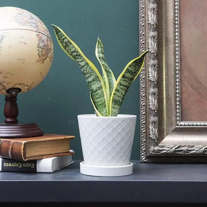 Plant Pots Indoor –5 inch Ceramic Flower Pot with Drainage Hole and Ceramic Tray - Gardening Home Desktop Office Windowsill Decoration Gift, Set of 4 - Plants NOT Included (White) by GreenHaven Gardens