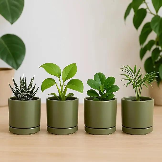 D'vine Dev Set of 2 Plants Pots, 3.5 Inch Ceramic Planter Pot for Plants with Drainage Hole and Saucer, Olive, 94-V-A-J by GreenHaven Gardens