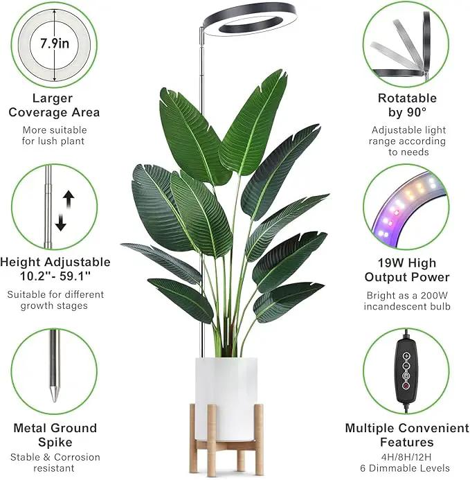 LORDEM Grow Light for Indoor Plants, 7.9" Full Spectrum LED Plant Grow Light, Height Adjustable Growing Lamp with Auto Timer 4H/8H/12H, 6 Dimmable Levels, Black, 1 Pack by GreenHaven Gardens