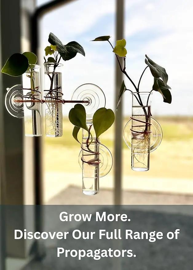 The Little Window Propagator | Window Propagation Station with Removable Glass Tubes, Indoor Plant Clippings, Cut Flowers, Herbs, Succulents | Home Decor | Plant Lover Gift (2) by GreenHaven Gardens