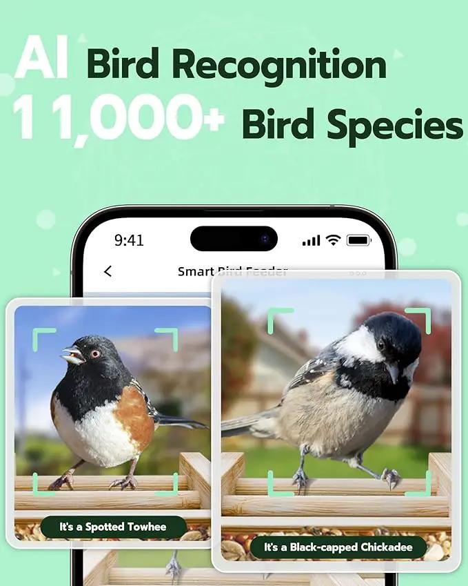 Bird Feeder with Camera, Smart Wild Bird Feeder for Outdoors with AI Identify, Solar Bird Feeder Watching Camera Auto Capture Birds & Real-time Notifications, Gifts for Birdlover (Arch) by GreenHaven Gardens