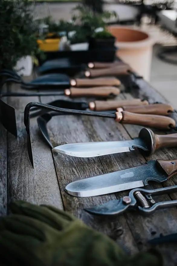 Barebones Triangle Hoe - Stainless Steel Hoe - Japanese Gardening Tools for Weeding, Long Handle and Hand Hoe (Walnut/Black) by GreenHaven Gardens