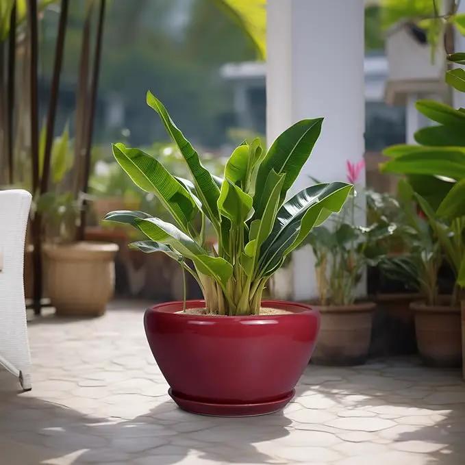 Ceramic Planter - Indoor Plant Pot with Drainage Hole and Saucer 13 Inch Large Pots for Plants Round Modern Outdoor Flower Pot Mid-Century Patio Room Decor Red by GreenHaven Gardens