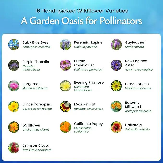 Created By Nature Bee & Butterfly Wildflower Seed Mix, 16 Varieties, 30,000 Seeds by GreenHaven Gardens