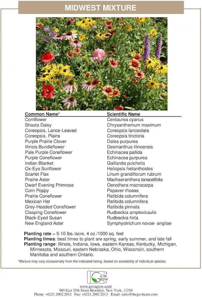 Regional Wildflower Seed Mix by GevaGrow (Midwest Wildflowers, Mini Shaker) by GreenHaven Gardens