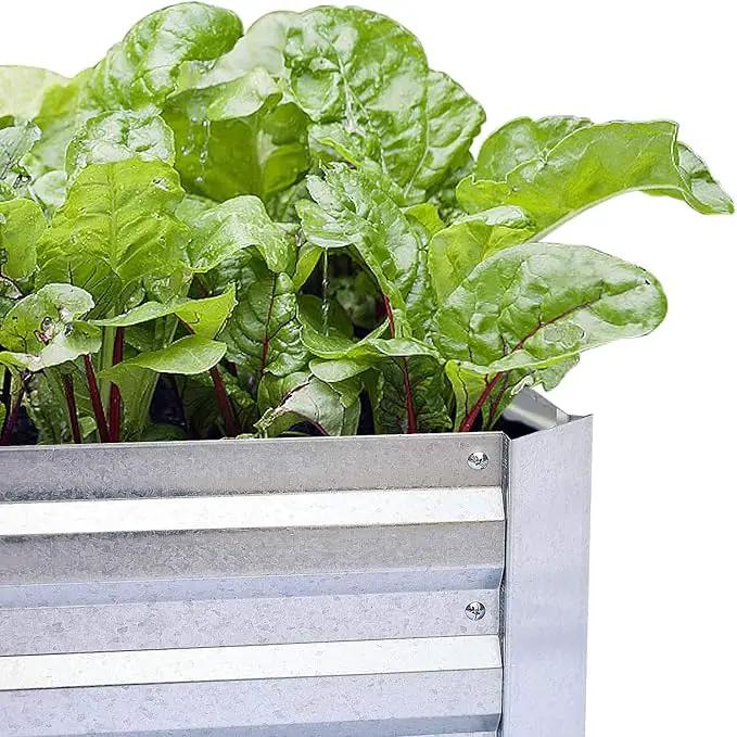 Galvanized Raised Garden Beds for Vegetables Large Metal Planter Box Steel Kit Flower Herb, 8x4x1ft by GreenHaven Gardens