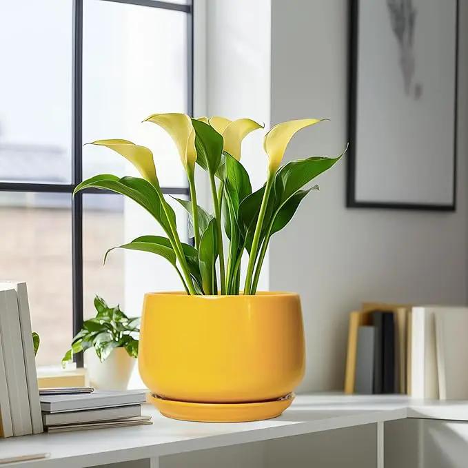 G EPGardening Ceramic Flower Pot - 9 Inch Plant Pots for Indoor Outdoor Plants, Round Ceramic Planter with Drainage and Plant Saucer, Modern Planter, Home Office Decor, Garden Gifts, Yellow by GreenHaven Gardens