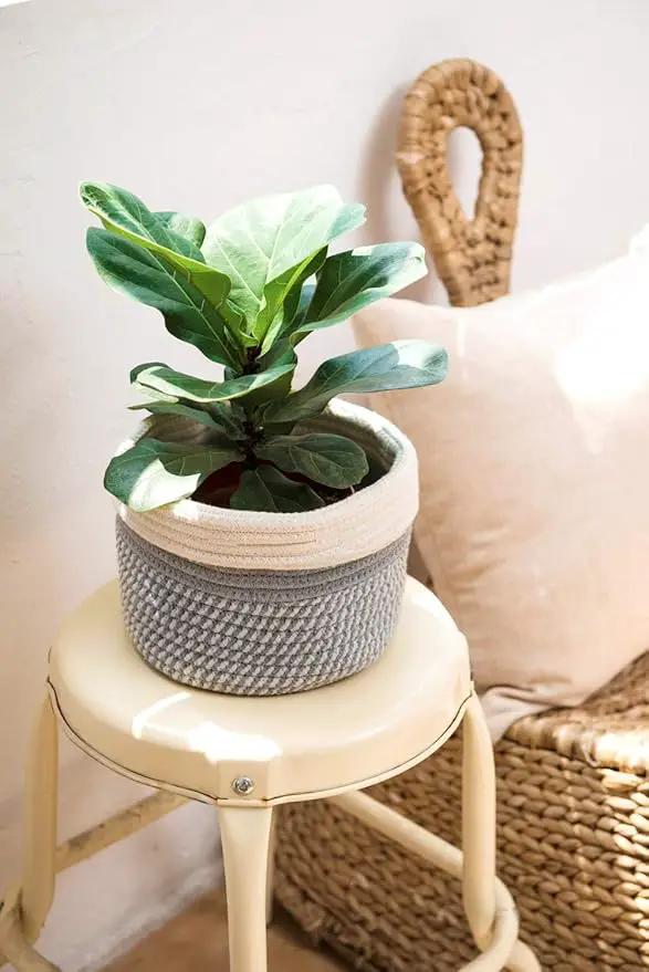 Dahey Jute Cotton Rope Plant Basket Mini Woven Storage Basket for Up to 7" Planter, Decorative Flower Pot Cover Closet Storage Bin Table Desk Organizer Modern Home Decor, Grey by GreenHaven Gardens