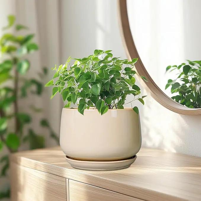 G EPGardening Ceramic Planter - 7 Inch Plant Pots with Drainage and Ceramic Tray, Flower Pots for Indoor Plants, Round Outdoor Planter, Room Decor, Gifts for Plant Lovers, Beige by GreenHaven Gardens