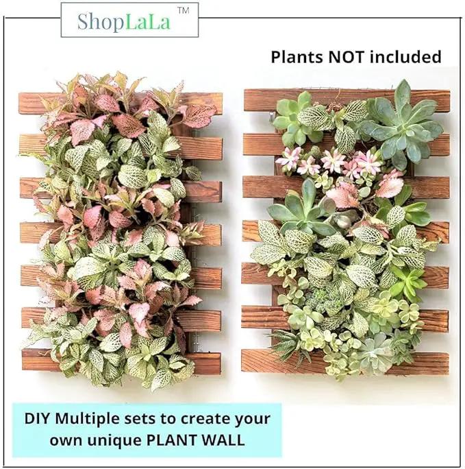 ShopLaLa Wall Planter - 2 Pack Wooden Orchid Planter Frame Display Outdoor Plants, Wall Mount Air Plants Succulent Holder Hanger, Vertical Garden Plant Wall Decor Macetas para Orquideas 15.7" (40cm) by GreenHaven Gardens