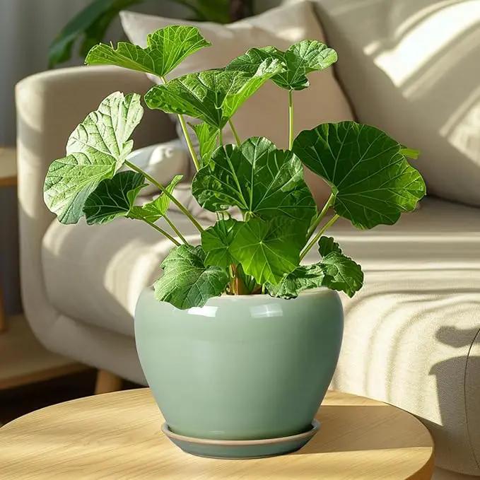8 Inch Plant Pot - Ceramic Planter for Outdoor Plants Indoor Plant Pot with Drainage Hole and Saucer Mid-Century Round Planter Flower Pot for House Garden Green by GreenHaven Gardens