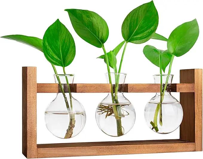 Plant Propagation Station,Plant Terrarium,Plant Starter,Gifts for Plant Lovers,Glass Bulb Terrarium with Retro Solid Wooden Stand for Hydroponics Plants Home Garden Wedding Décor (3 Bulbs) by GreenHaven Gardens