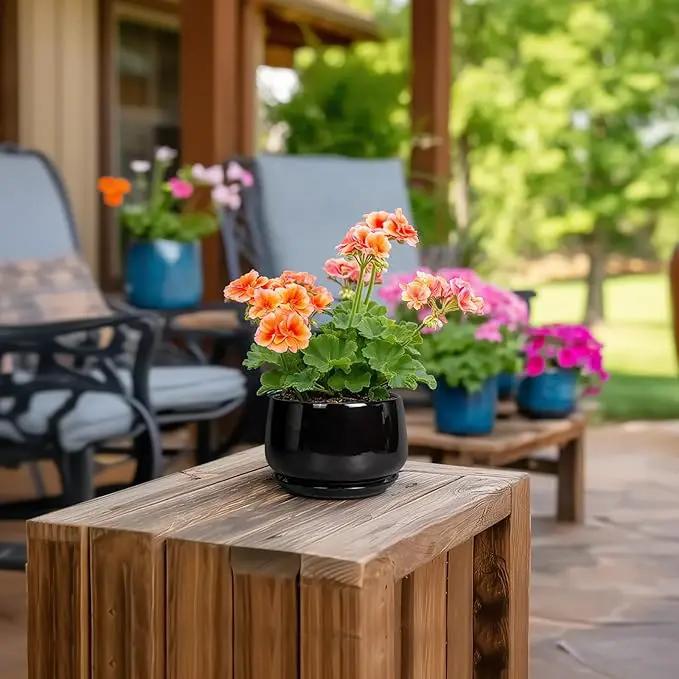 G EPGardening Small Ceramic Planter - 4 Inch Succulent Pots with Drainage Hole & Sacuer, Flower Pots for Indoor Outdoor Plants, Modern Decorative Round Planter, Room Decor, House Warming Gifts, Black by GreenHaven Gardens