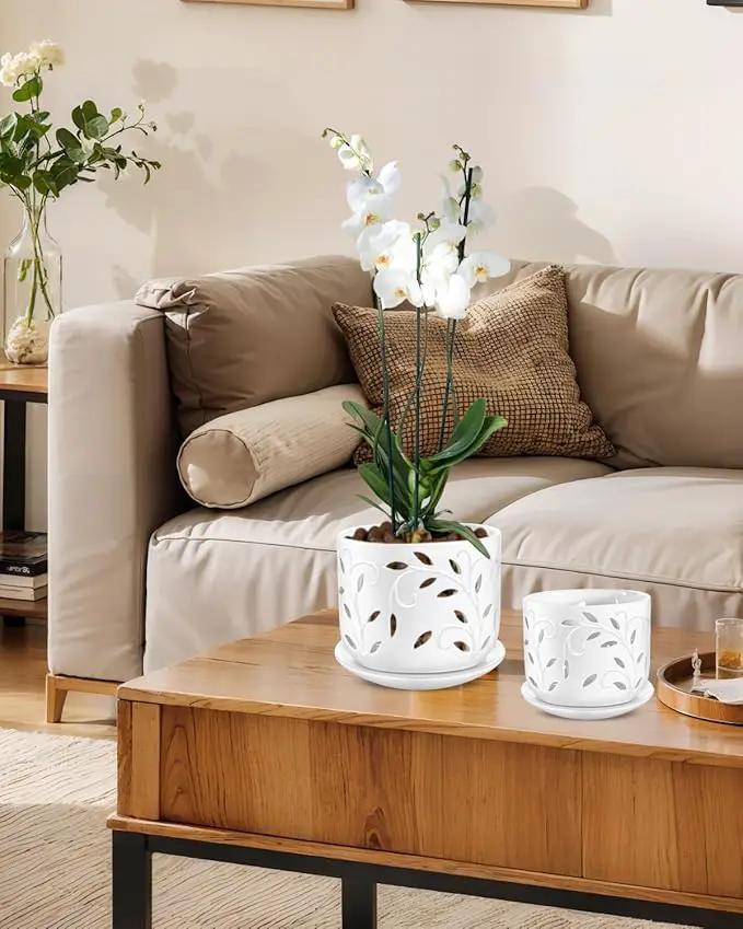 EFISPSS Orchid Pot with Holes, 5+6Inch Ceramic Plant Pots with Drainage Holes and Tray, Promoting Air Circulation and Drainage, Indoor/Outdoor White Flower Pots by GreenHaven Gardens