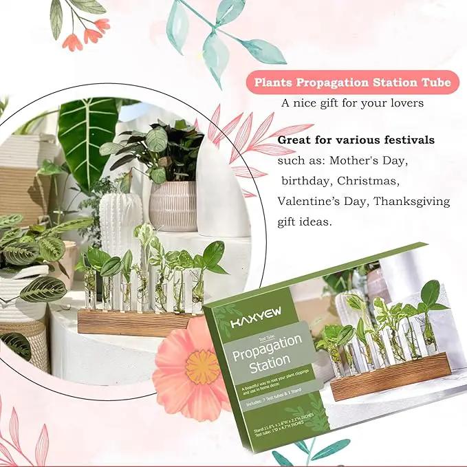 KAXYEW Plant Terrarium with Wooden Stand, Plant Propagation Tubes, 7 Test Tubes Glass Planter for Hydroponic Plant Cuttings Home Office Décor by GreenHaven Gardens