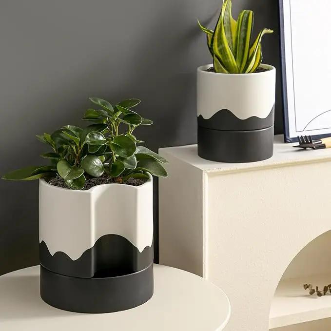Nihow Self Watering Plant Pot: 8 Inch Ceramic Planter with Drainage Hole & Water Storage Plus for Indoor & Outdoor Plants - Cylinder Round Flower Pot for Succulent/Herbs/Violets - White & Wave Black by GreenHaven Gardens