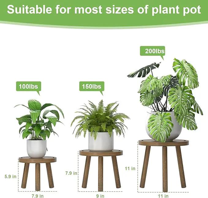 3-Pack Wood Plant Stands Indoor, Single Plant Stand for 6-12 Inch Pots, Mid-Century Modern Plant Stool, Tall Plant Stand for Large Plants for Living Room, Balcony, Office (Dark Gray) by GreenHaven Gardens