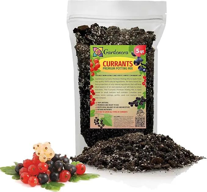 Premium Currant Plant Potting Soil Mix - Optimal Nutrient-Rich Blend for Thriving and Juicy Currants - 5 Quart by GreenHaven Gardens
