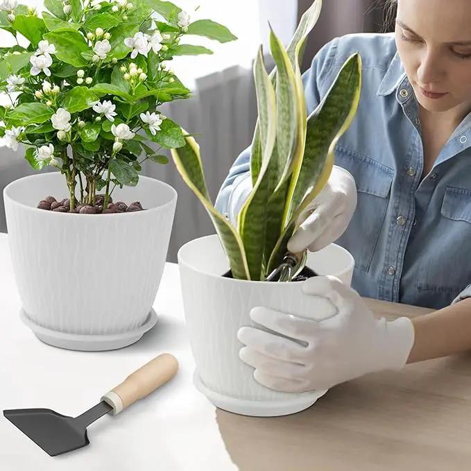 Plant Pots – 6 Inch Planters with Drainage Holes and Saucers, Flower Pots for Indoor and Outdoor Plants, Nursery Planting Pots (Pack of 5, White) by GreenHaven Gardens