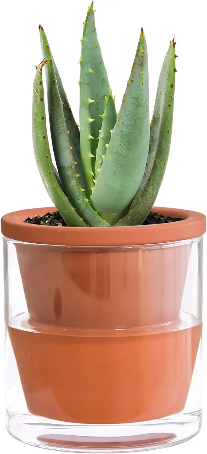 D'vine Dev 4 Inch Design Self Watering Pot for Indoor Plants, Terracotta Planter with Cylinder Glass Cup, Set of 3, 37-X-A-3 by GreenHaven Gardens