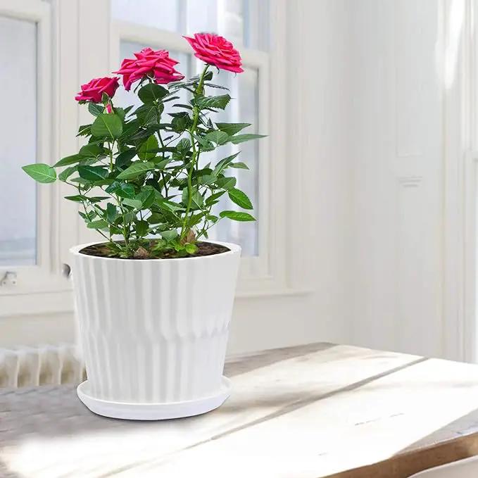 Plant Pots - 6.7 Inch Cylinder Ceramic Planters with Connected Saucer, Pots for Succuelnt and Little Snake Plants, Set of 2, White by GreenHaven Gardens