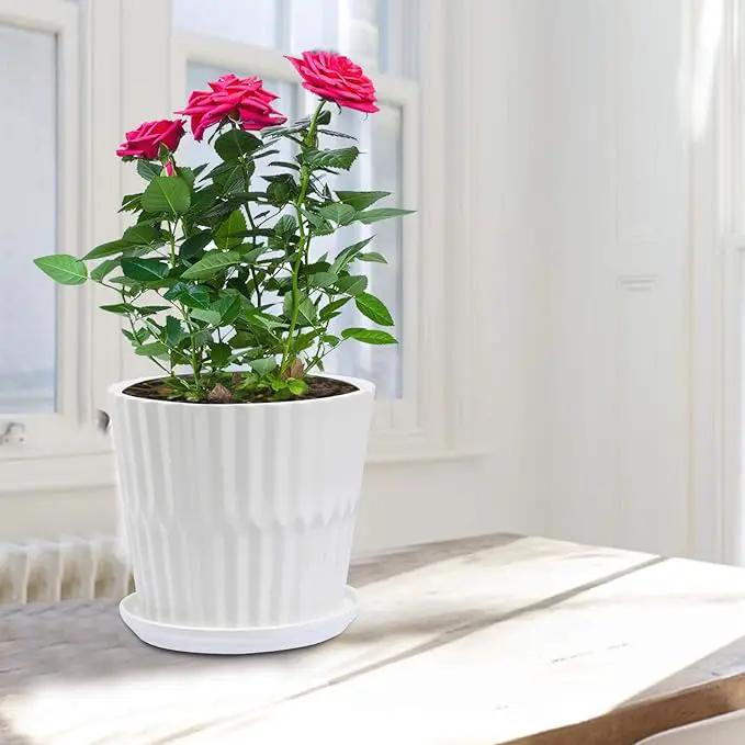 Plant Pots - 6.7 Inch Cylinder Ceramic Planters with Connected Saucer, Pots for Succuelnt and Little Snake Plants, Set of 2, White by GreenHaven Gardens