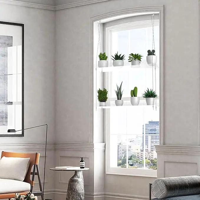 2-Tier Hanging Clear Plant Shelves for Windows, Acrylic Window Wall Plant Stand Shelf for Kitchen Indoor Gardens, Flower, Succulents, Herb, Seedling Organization, and Pots Display, 16 Inch per Tier by GreenHaven Gardens