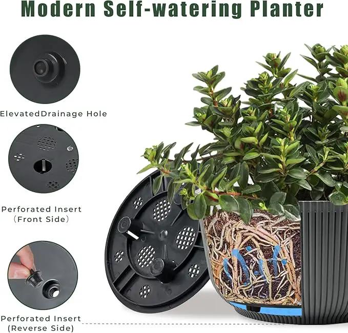 T4U 8 Inch Plant Pots, 2 Pack Self Watering Planter with Drainage Hole, Shallow Plant Pot Indoor, Home Decor Flower Pots for Plants, Cactus, Garden, Gray by GreenHaven Gardens