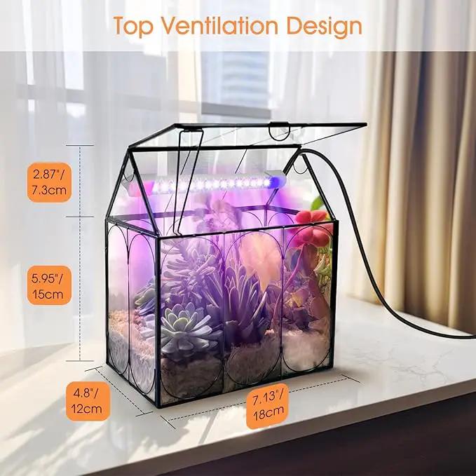 Plant Terrarium with Grow Light, Rifny Indoor House Shape Glass Terrarium Kit with Lid, Small Terrarium Jar Planter for Venus Fly Trap Succulent Live Air Plants Decor for Home Office (Without Plants) by GreenHaven Gardens