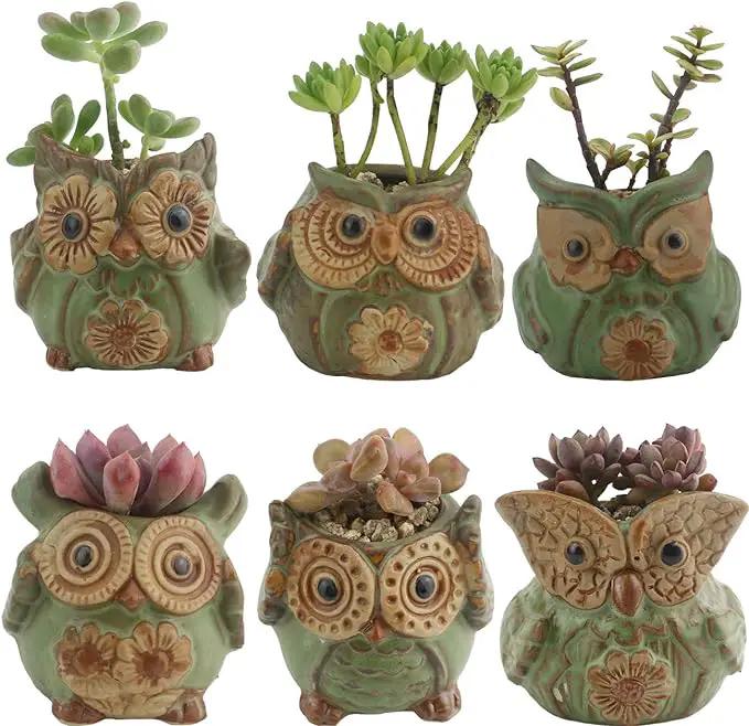 Ogrmar 6Pack Owl Plant Window Boxes Cute Owl Flower Pot/Modern Ceramic Succulent Planter Pots/Tiny Flower Plant Containers Animal Decor by GreenHaven Gardens