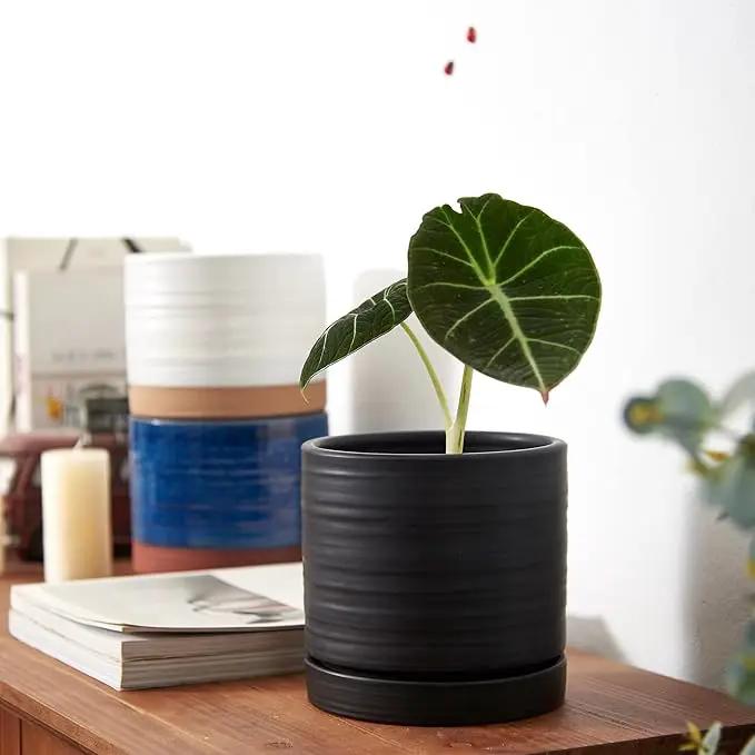 6 Inch Plant Pots, Ceramic Planter Pot with Drainage Hole & Saucer, Indoor/Outdoor Cylinder Round Planter Pot, Matte Black by GreenHaven Gardens