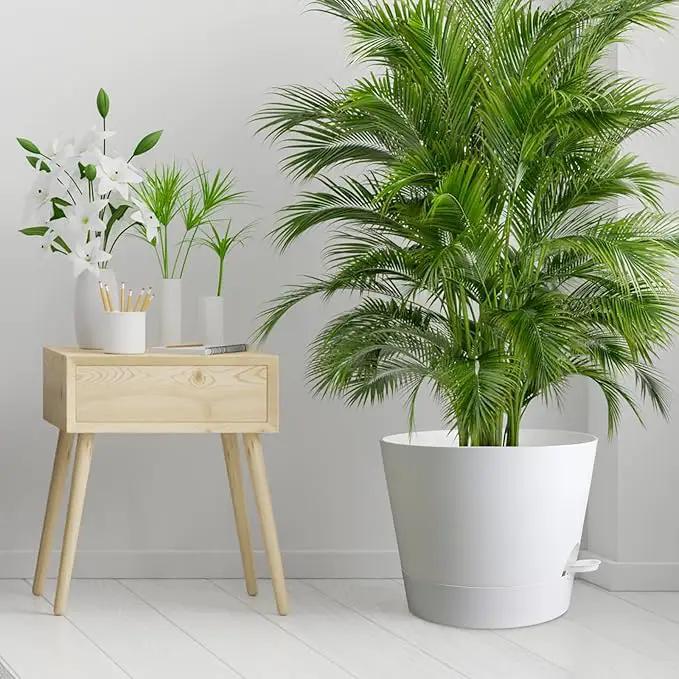 12 inch Large Self Watering Pots for Indoor Outdoor Plants, Flower Plant Pots with Mesh Drainage Holes for Garden House, Plastic Planters with Reservoir for Home, White by GreenHaven Gardens