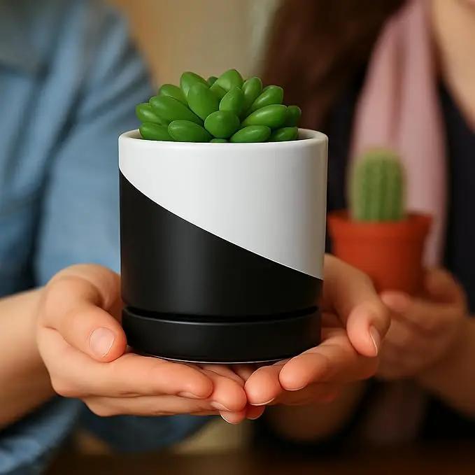 D'vine Dev 3.5 Inch Ceramic Planter Pot with Drainage Hole and Saucer, Indoor Cylinder Round Planter Pot, Oblique Monochrome Black and White, 94-O-A-K by GreenHaven Gardens