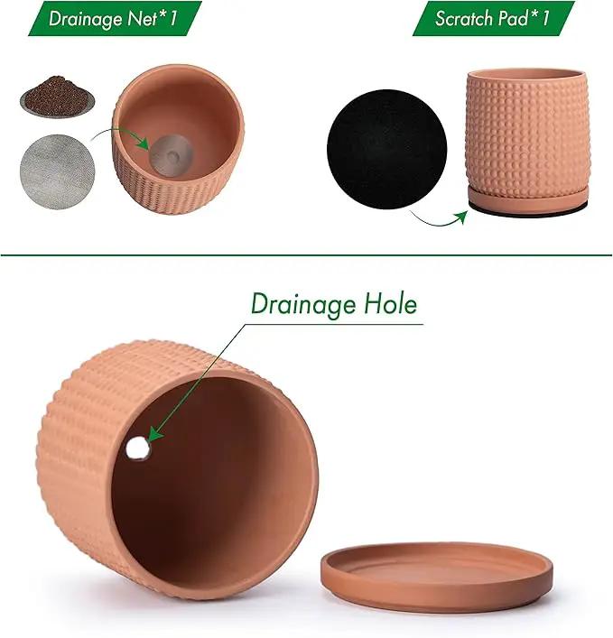 D'vine Dev Set of 2 Ceramic Plants Pots, 6 Inch Beaded Stoneware Flower Pot for Plants with Drainage Hole and Saucer, Terracotta, 27-E-X-7 by GreenHaven Gardens