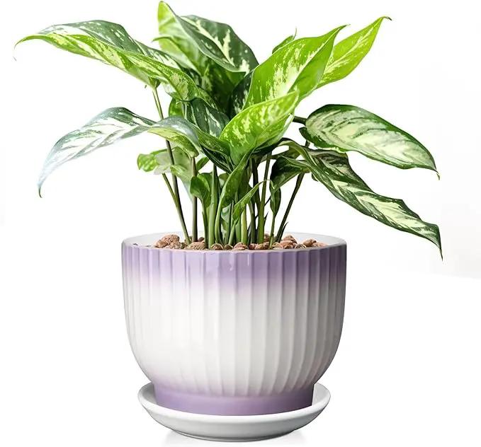 8 Inch Plant Pot, Ceramic Planter with Drainage and Saucer, Ceramic Pots for Plants, Indoor Plant pots,Ceramic Flower pots(Purple + White, Plants NOT Included) by GreenHaven Gardens