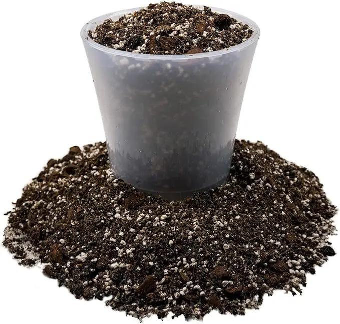 Fiddle Leaf Fig Soil Mix - 20 Quart - Premium Blend of Peat Moss, New Zealand Bark, Coco Chips, and Perlite for All Purpose Planting - 4 Bags of 5 Quart by GreenHaven Gardens
