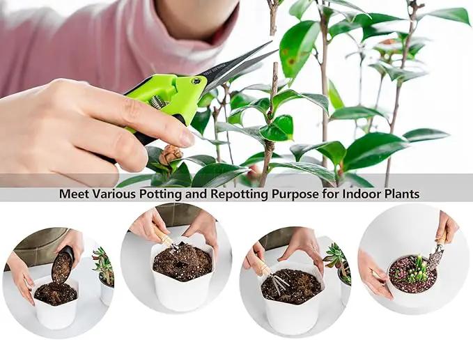 5Pcs Succulent Tools Mini Garden Small Gardening Tools Indoor, Pruning Shear Gardening Scissors, Hand kit for Bonsai, Cactus, Fairy, Houseplant of Transplanting, Repotting, Seedling Soil by GreenHaven Gardens