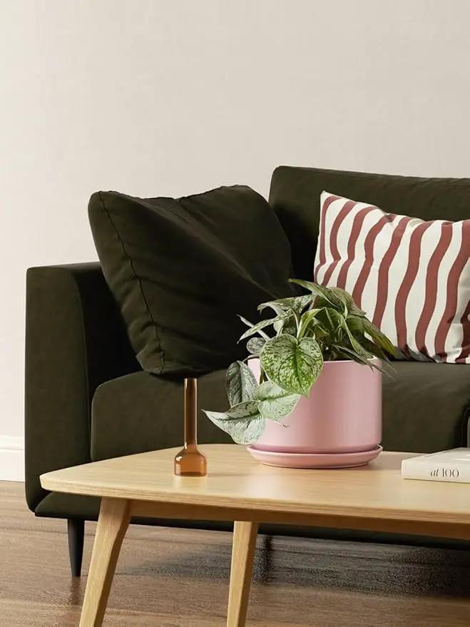 LE TAUCI Ceramic Plant Pots, 4.3+5.3+6.8 inch, Set of 3, Planters with Drainage Hole and Saucer, Indoor Flower Pot with Hole Mesh Pad, Gifts for Mom, Pink by GreenHaven Gardens