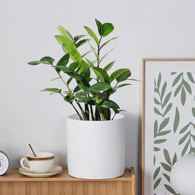 8 Inch Pot for Plants, Large Cement Planter with Drainage Hole, Mid-Century Modern Concrete Flower Pots for Home Decor, Office & Outdoor (White) by GreenHaven Gardens