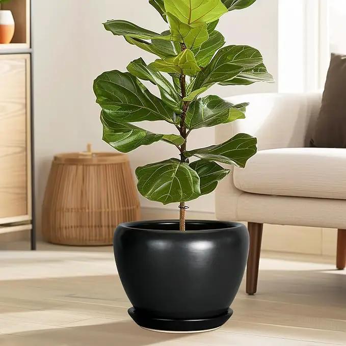 Ceramic Pot for Plants - 10 Inch Plant Pot Indoor with Drainage Hole and Saucer Large Planter Decorative Planter Modern Outdoor Flower Pot for House Balcony Black by GreenHaven Gardens