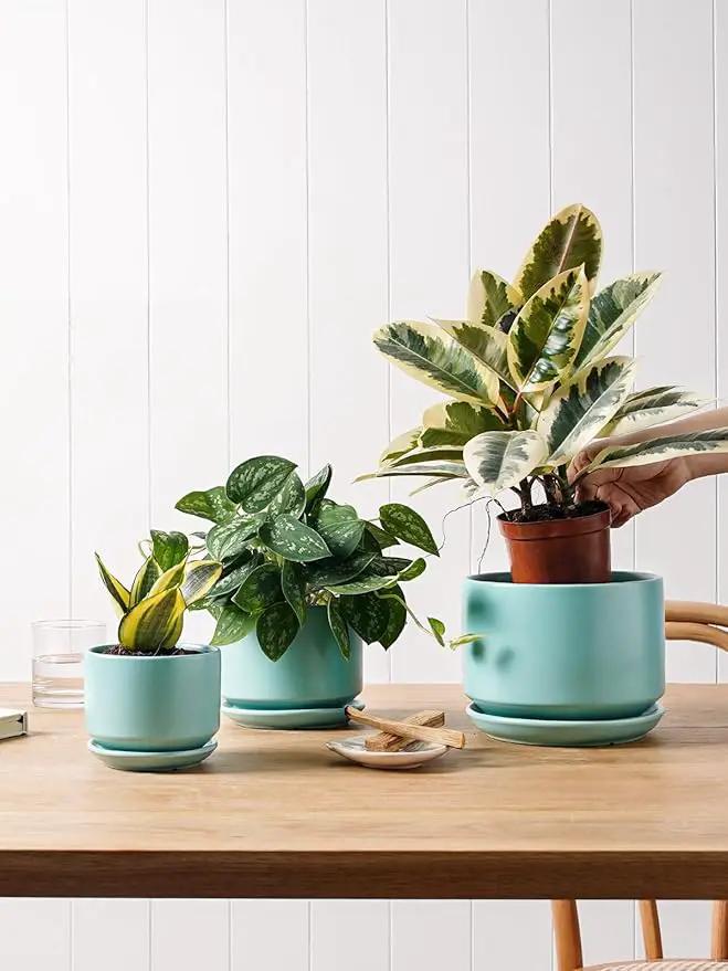 LE TAUCI Ceramic Plant Pots, 4.3+5.3+6.8 inch, Set of 3, Planters with Drainage Hole and Saucer, Indoor Flower Pot with Hole Mesh Pad, Gifts for Mom, Aqua by GreenHaven Gardens