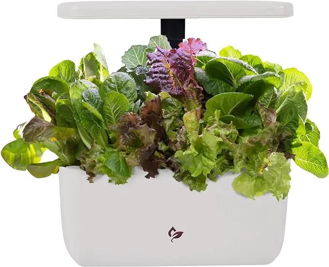 AeroGarden Harvest 2.0, Indoor Garden Hydroponic System with LED Grow Light, Holds up to 6 AeroGarden Pods, Cream by GreenHaven Gardens