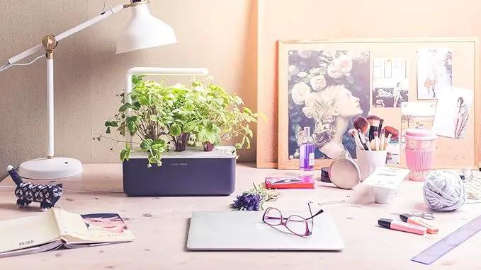 Click & Grow Indoor Herb Garden Kit with Grow Light | Smart Garden for Home Kitchen Windowsill | Easier Than Hydroponics Growing System | Vegetable Gardening Starter (3 Basil Pods Included), Grey by GreenHaven Gardens