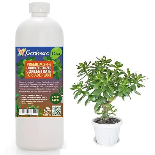 Premium Liquid Jade Fertilizer - 3-1-2 Concentrate for Indoor Plants and Flowers - Organic Plant Food - 32oz by GreenHaven Gardens