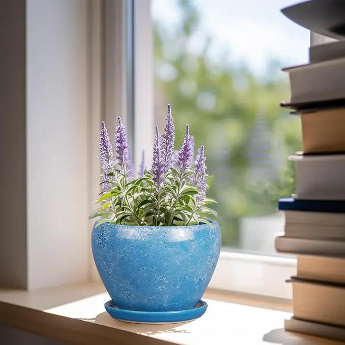 6 Inch Plant Pot - Ceramic Planter Pot with Drainage Hole and Saucer, Glaze Succulent Pot Modern Round Flower Pot for Indoor Plants, Blue by GreenHaven Gardens
